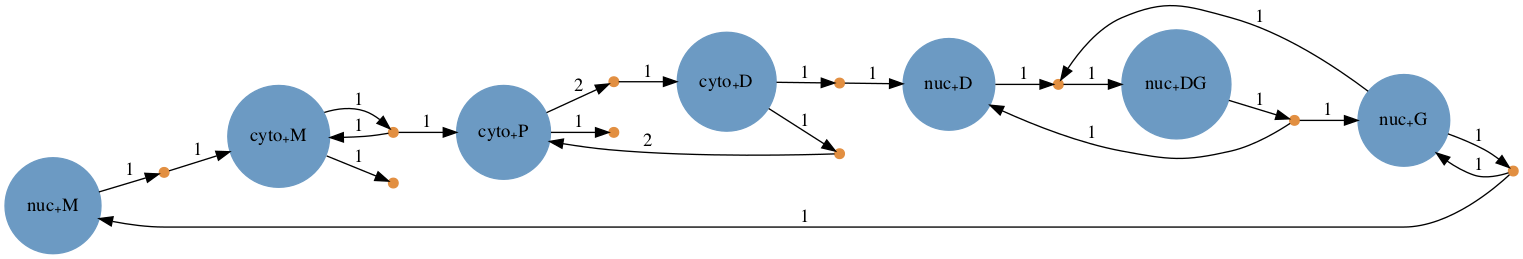 graph of gene regulation model